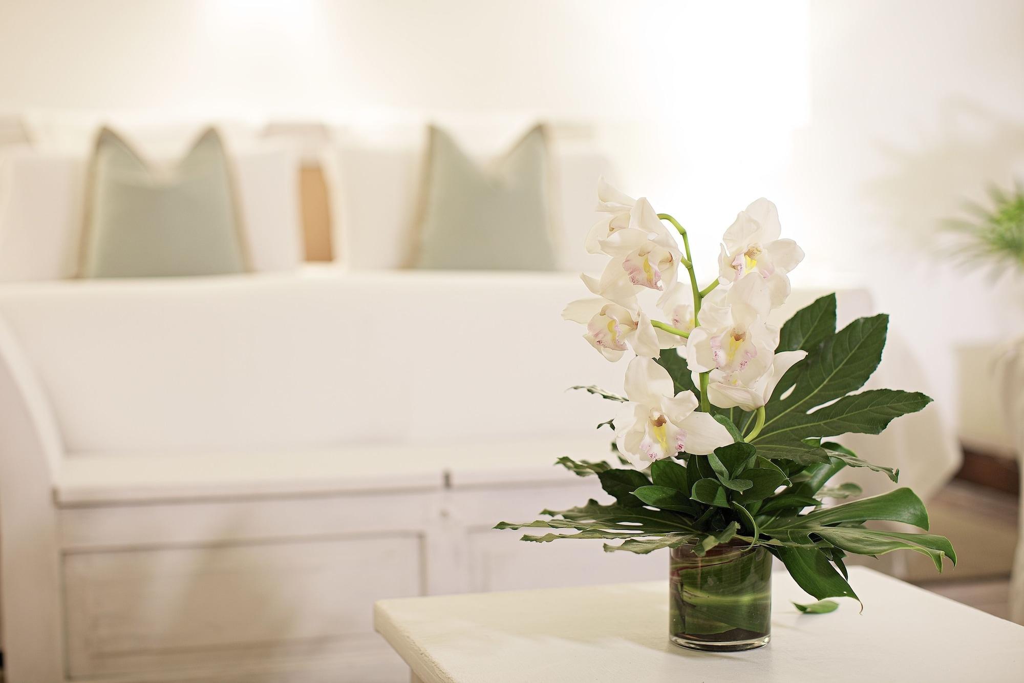 Casa Belle Boutique Hotel Cartagena Eksteriør bilde